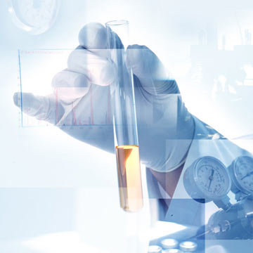 规范、品控管理